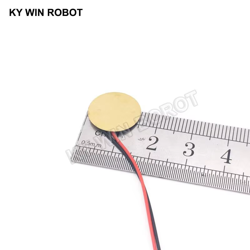 10 Pcs Piezoelectric Piezo Cer – обзор и цена R/Diy Electronics